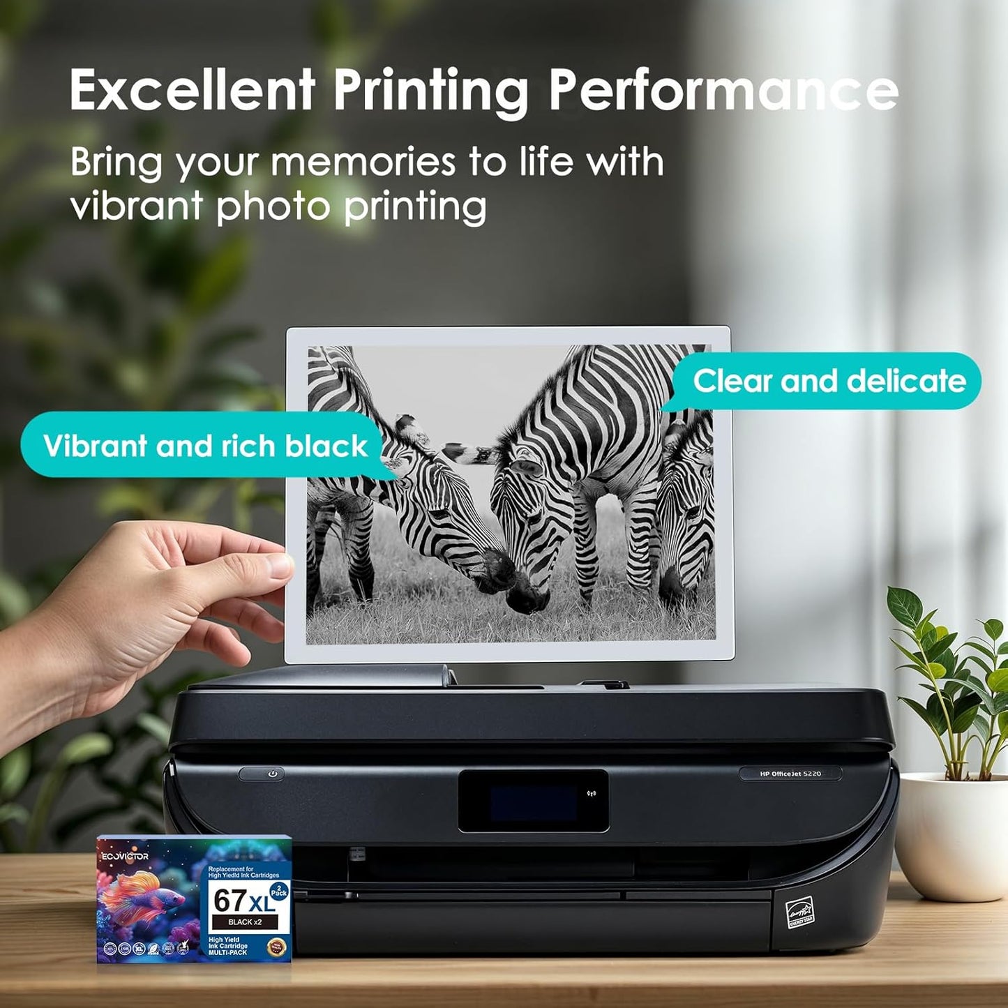 EcoVictor 67XL Black Ink Cartridge Replacement for HP 67 XL (2-Pack) Compatible to HP DeskJet 2755e 2700 2700e 4155e 2752 2755 4100 4100e 2320 Envy 6055e 6000 6000e 6455e 6400 6400e 6458 6052 Printer