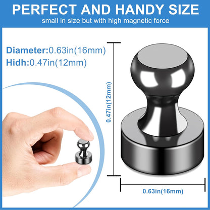 LOVIMAG Small Magnets for Cruise Ship Essentials, Cruise Magnets for Door Decoration, 4 Assorted Color Push Pins Neodymium Magnets for Cruise Cabins, Kitchen, Locker or Office Accessories-16 Pcs