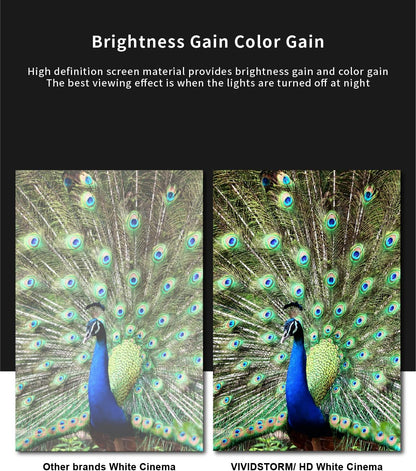 VIVIDSTORM- Projector Screen S 120 Inch Portable Folding Stand Floor Rising Movie Screen Sound Transparent Perforated White Screen Compatible with Ordinary Projector,VWSDSTPW120H