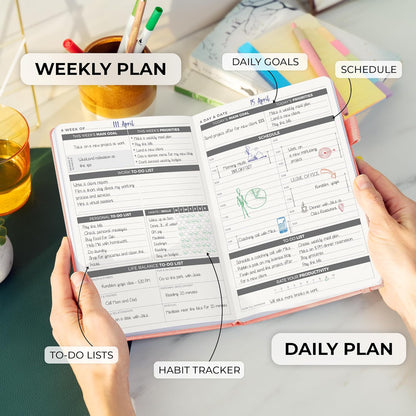 Clever Fox Daily Planner – Undated Planning Notebook with Hourly Schedule & To-Do List – Personal Day Task & Work Organizer, 6 Months (Peach Pink)