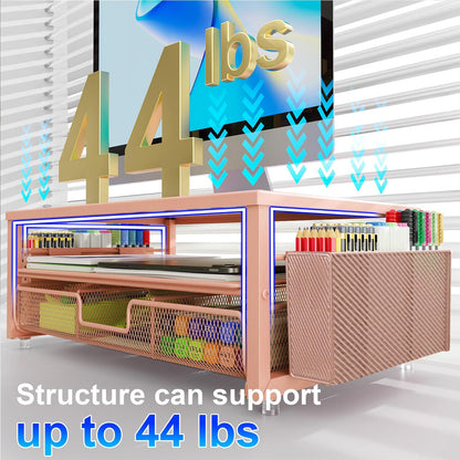 gianotter Desk Organizers and Accessories, Monitor Stand with Drawer and 2 Pen Holder, Desktop Organizer Suitable for Offices and Dormitories (Rose Gold)