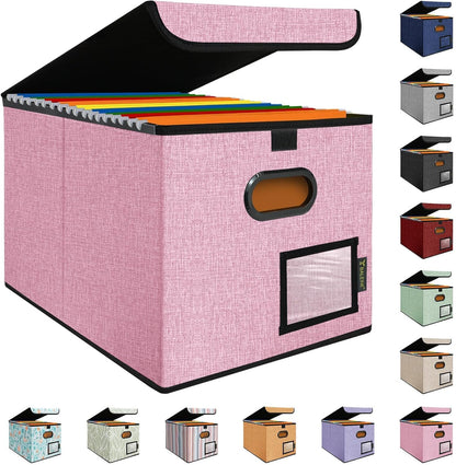 BALEINE File Organizer Box with Lid, Collapsible File Folder Organizer with Plastic Slide, Hanging File Folder Box for Office Document Storage (1 Pack, Pink)