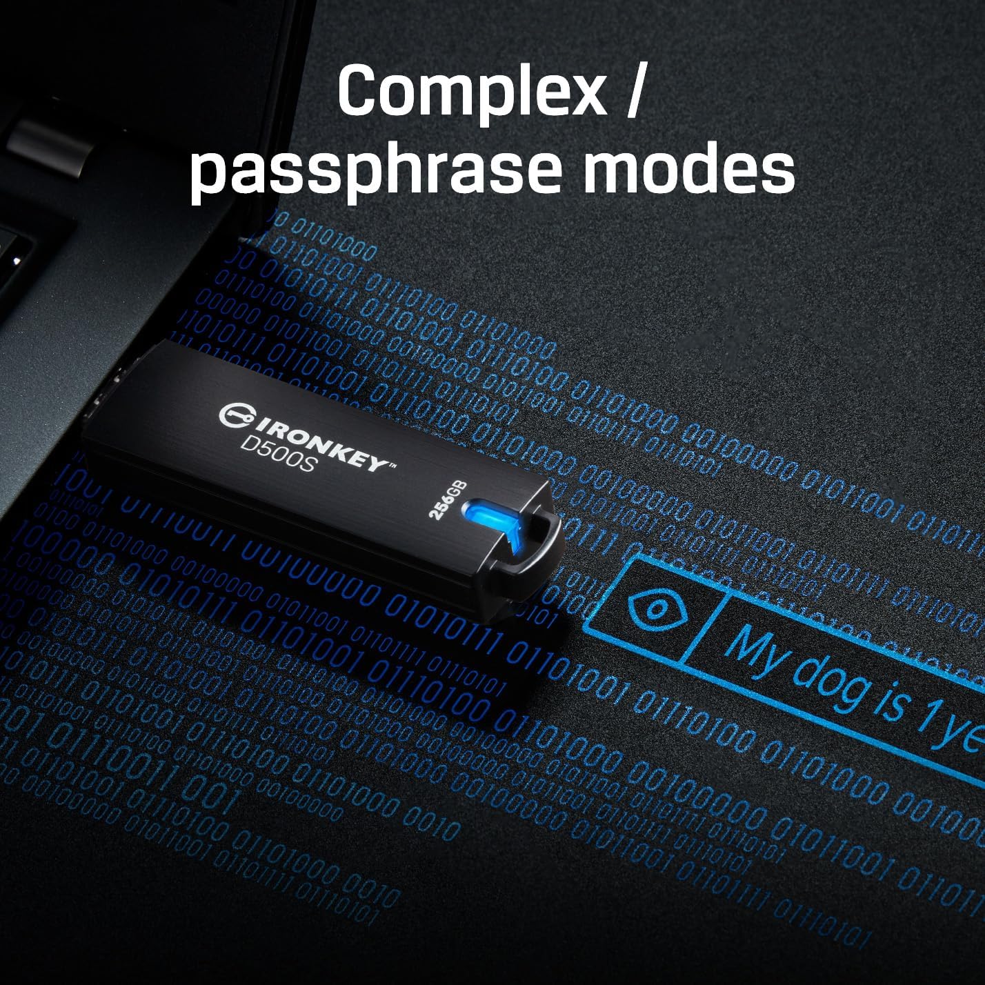 Kingston Ironkey D500S 256GB Encrypted Flash Drive | Dual Hidden Partition | FIPS 140-3 Level 3 | XTS-AES 256-bit | BadUSB and Brute Force Protection | Multi-Pin Option | IKD500S/256GB
