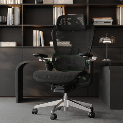 Ergonomic Office Chair, Mesh Home Office Desk Chair with Adaptive Lumbar Support, Gaming Chair with Headrest, 5D Armrest,90-130°Tilt, BIFMA Certified, Model Zen (Green)