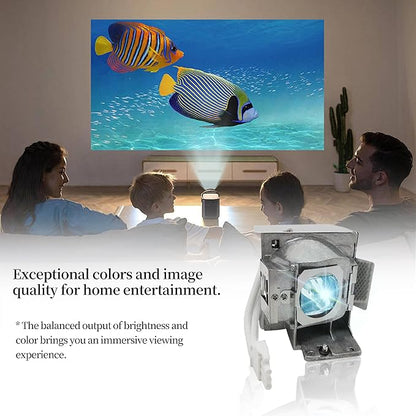 RLC-085 RLC-078 Replacement Projector Lamp Bulb Compatible with Viewsonic PJD5533W PJD6543W PJD5134 PJD5132 PJD6235 PJD6245 PJD5234L PJD5232L PJD6246 Projector Lamp Bulb with Housing