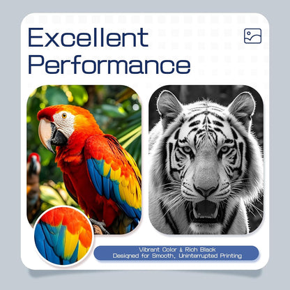 LC401XL LC401 High Yield MFC-J1010DW Ink Cartridges 5-Pack Compatible for Brother 401XL LC-401 Ink Cartridges Work with MFC-J1010DW MFC-J1170DW MFC-J1012DW MFC-J1800DW (2 Black, 1 Cyan Magenta Yellow)