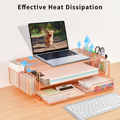 AUPSEN Computer Monitor Stands Riser，2-Tier Desk Organizers and Accessories, Office Desk Accessories Organizer with Drawers and 2 Pen Holder for Office Supplies (Rose Gold)