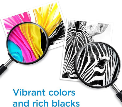 HP 67XL Black High-Yield Ink Cartridge | Works with DeskJet 1255, 2700, 4100, Envy 6000, 6400 Series | Eligible for Instant Ink | 3YM57AN | Packaging May Vary
