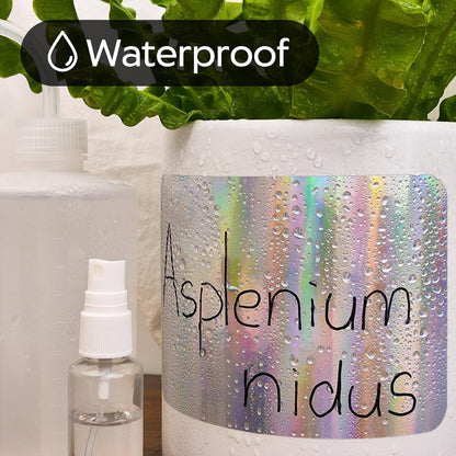 100Pcs Large Laser Labels for Storage Bins,6x4 Inch Removable Labels,Large Labels for Blank Box,Strong Adhesive Tear Resistant No Residue Blank Labels (Laser)