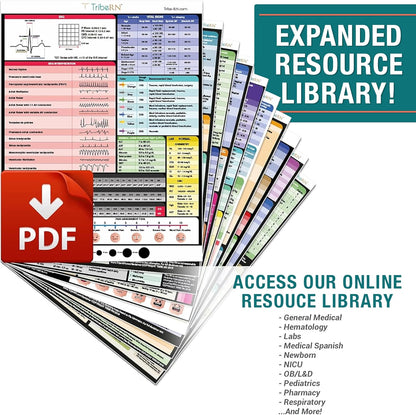 Tribe RN Nursing Clipboard with Storage - Medical Clipboard Nursing Essentials for Nurses and Nursing Students School Supplies with Quick Access Reference Guide (Pink)