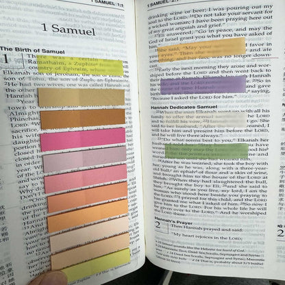 ELII 3600pcs Books Tabs for Annotating Page Markers Morandi Sticky Index Tabs,Transparent Sticky Notes Tabs Label Stickers Index Tabs for Reading Notes, Classify File