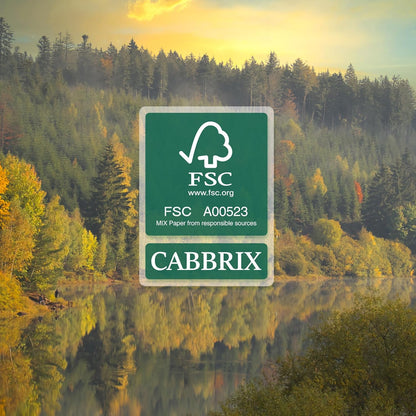 Desk Calendar 2025-2026 with Desktop Mat, Cabbrix Large Desk Pad Calendar 22 x 17 Inch Runs From July 2025 to December 2026, Floral Design Calendar 2025 for Home School and Office (Green)