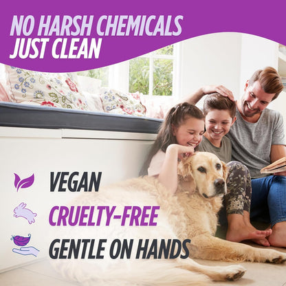 Oh Yuk All Purpose Cleaner – Multi-Purpose Hard Surface Cleaner for Kitchen, Bathroom, Counters, Stainless Steel & More - 100% Biodegradable, Vegan, Cruelty-Free (1, Spray Bottle)