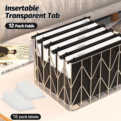 Extra Capacity Plastic Hanging File Folders,12 Pack Reinforced Hang Folders Letter Size,Accordian Pocket,Heavy Duty 2 Inch Expansion,Hard Hanging Folder Organizer for Office Home,Black