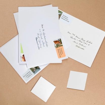 Customized Personalized Address Labels - Made in The USA by Kenco (250 Labels, Forest Wildlife)