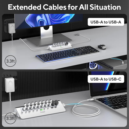 Powered USB Hub, intpw 10 Port USB 3.1 Hub with 10Gbps Data Transfer, 36W(12V/3A) Power Adapter, USB Type A and Type C Cable, Aluminum USB Hub for Laptop, MacBook and Desktop Computer
