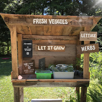 KYODOLED Money Cash Drop Box Wall Mount with Key, Metal Donation and Suggestion Box with Slot and Lock for Home, Farm or Office, Black, 10.24 x 5.7 x 2.95 Inch