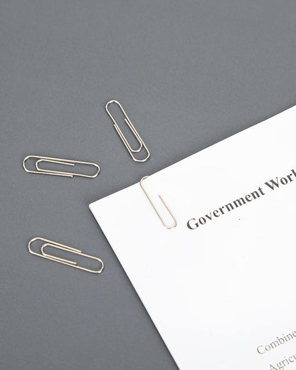 PAPERPAL Paperclips for Office School & Personal Use, #1 Nonskid Paper Clip (1-2/7"), 600 Medium Paper Clips (6 Boxes of 100 Each), Silver