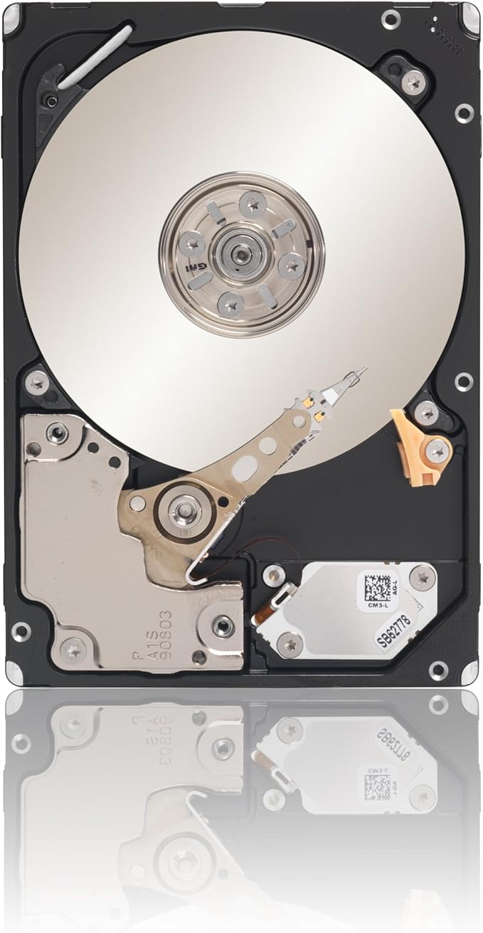 Seagate Savvio 10K.5 300 GB 10000 RPM SAS 6-Gb/S 64MB Cache 2.5-Inch Internal Bare Drive (ST9300605SS)