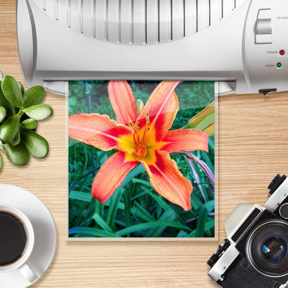 RyhamPaper Thermal Laminating Pouches, Laminating Sheets 8.9 x 11.4-Inches/Letter Size/5 mil, 200 Pack Laminator Sheets for Sealed Document, Cards, Clear Laminated Finish, Round Corner, Waterproof