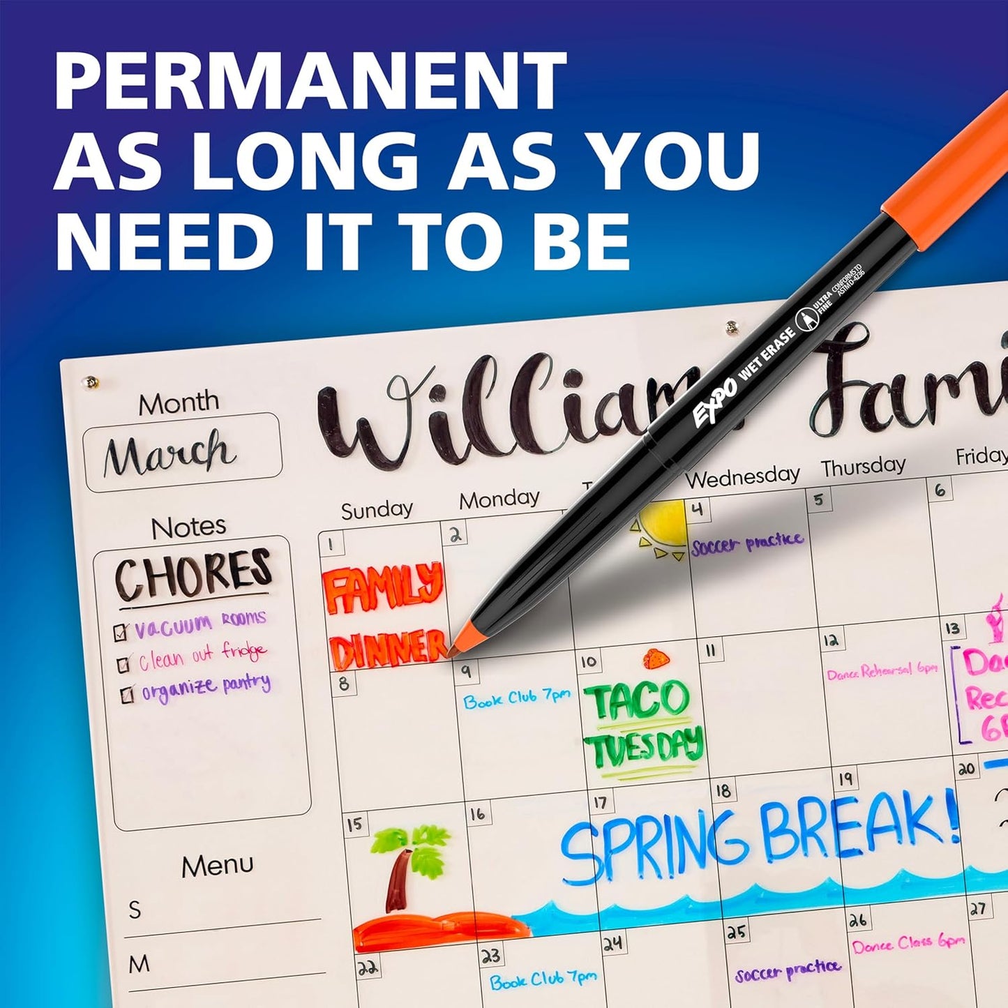 EXPO Visa Vis Wet Erase Markers Fine Point Black 12-Pack Ideal for Classroom and Homeschool Use