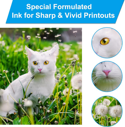 LCL Compatible Ink Bottle Replacement for Canon GI21 GI-21 GI-21C GI-21M GI-21Y for Canon PIXMA G3260 G3270 G2270 G2260 G1220 G1230 Printer (3-Pack Cyan Magenta Yellow)