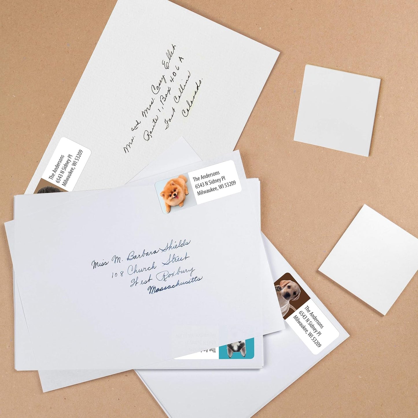 Customized Personalized Address Labels - Made in The USA by Kenco (500 Labels, Puppies)