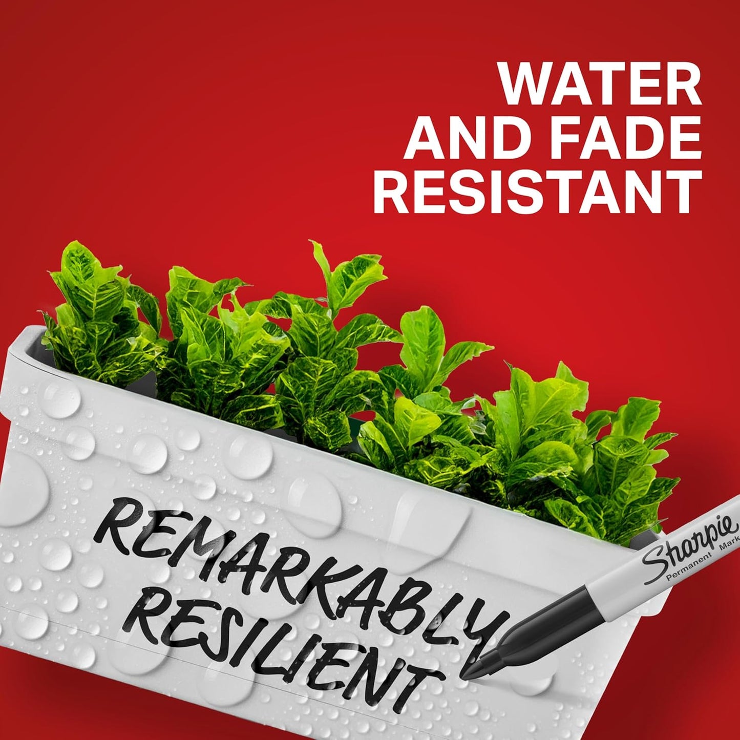 Sharpie Permanent Markers, Fine Tip, Black, 12 Count - For Classroom, Office, & Home, Quick Drying, Fade Resistant, For Wood, Plastic, Paper, Metal, And More, Ideal for Posters, Drawing, Coloring