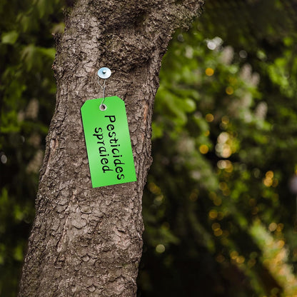 1000 Pieces Plastic Shipping Tags with Wire Labeling Tags Waterproof Hang Tags with Reinforcement Hole Writable Luggage tag Loops for Equipment Inventory Parts Garage (Green, 4 3/4" x 2 3/8")