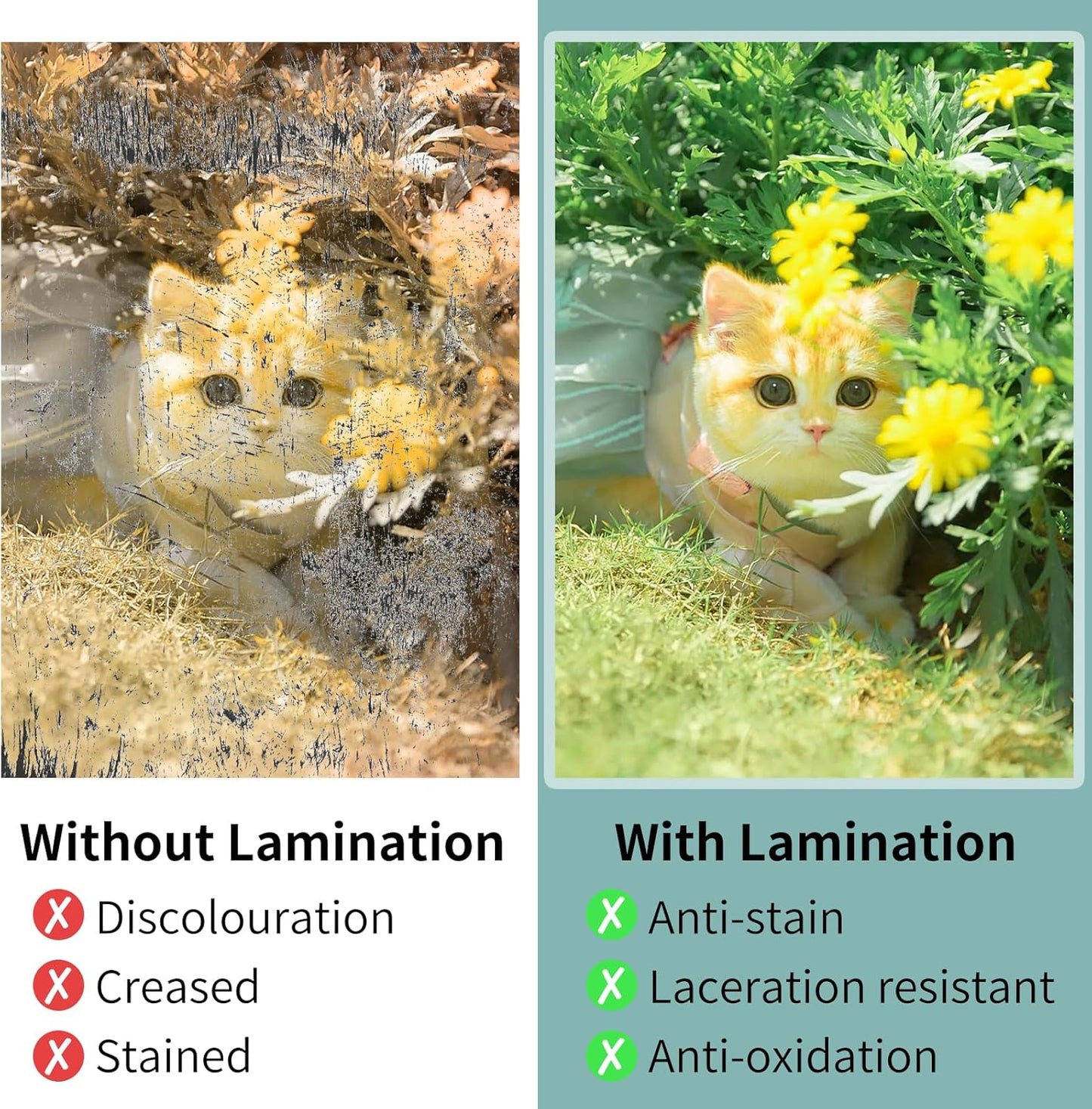 Laminating Sheets - 5Mil Thermal Laminating Pouches, 9"x11.5" Clear Laminate Sheets for Schedules, Menus, Certificates, Art Drawings, Round Corner, 1000 Pack