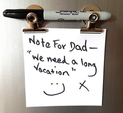 Mini Silver Refrigerator Magnet Hook Clips for Holding Photographs, Holding Business Cards, Office Organizing, Memo Note Clips, by Dondor (8)