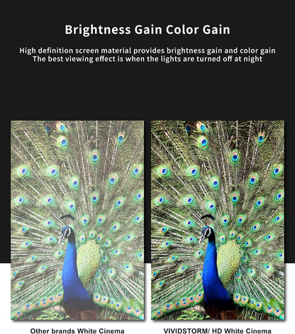 VIVIDSTORM-Home Cinema S 92 inches Portable Folding Stand Floor Rising Movie Screen Sound Transparent Perforated White Screen Compatible with Ordinary Projector,VWSDSTPW92H