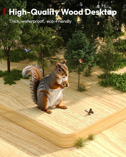 SANODESK Electric Standing Desk 48 x 30 Inches Whole-Piece Desktop Height Adjustable Stand Up Desk w/6-Button Controller Ergonomic Computer Desk for Home Office, Black Frame + Natural Tabletop