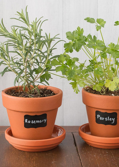 Cestari Chalkboard Labels: Mini Decorative Chalk Stickers - Set of 90 Premium Reusable Blackboard Stickers - Stylish Home Organization, Wedding Decorations, Party Favors, Crafts, Labels for Mason Jars