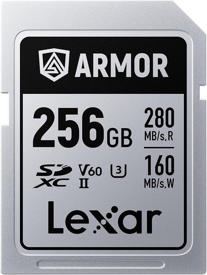 Lexar 256GB Armor Silver PRO SDXC Memory Card, UHS-II, C10, U3, V60, 6K UHD, Up to 280MB/s Read, Stainless Steel, for Professional Photographer, Videographer, Enthusiast (LSDAMSP256G-RNNNU)